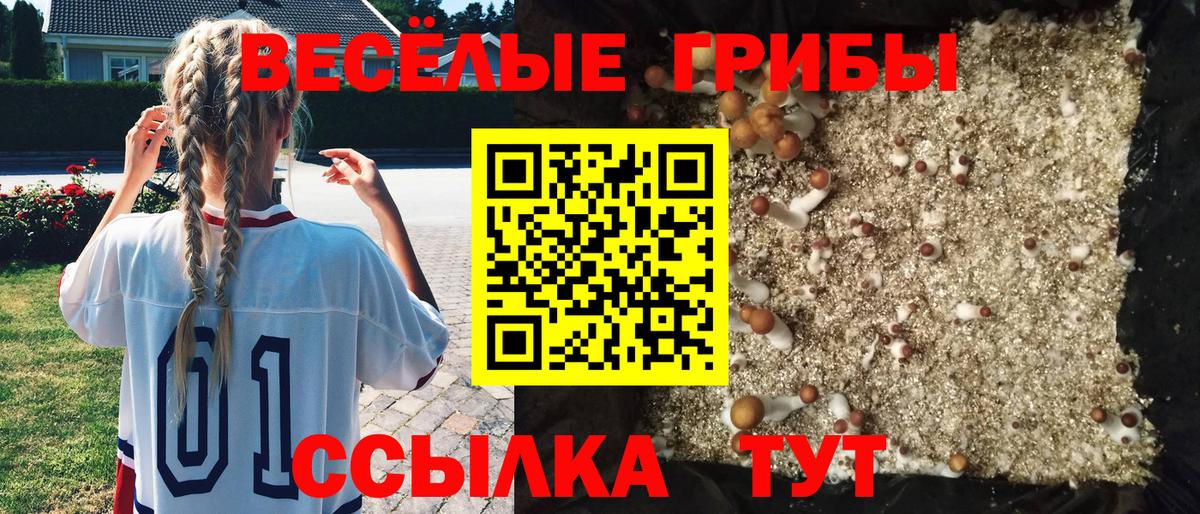 Псилоцибиновые грибы Cubensis Ливны