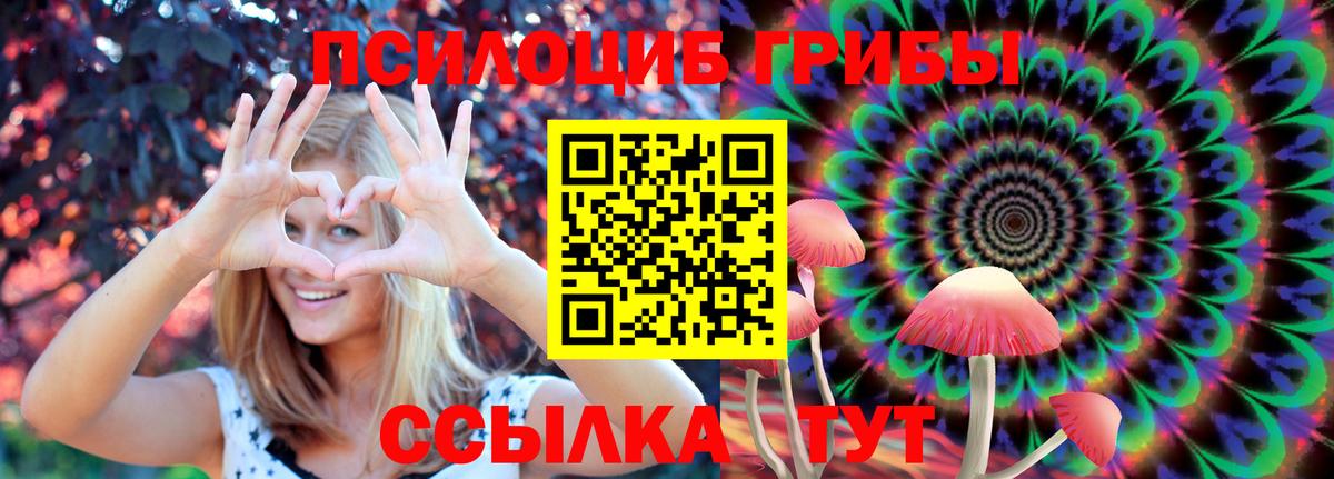 где можно купить   Псилоцибиновые грибы GOLDEN TEACHER  Вход с VPN  Ливны 